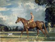 unknow artist Classical hunting fox, Equestrian and Beautiful Horses, 050. oil painting picture wholesale